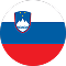 Slovenia flag